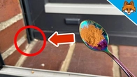 Sprinkle CINNAMON behind your Door and WATCH WHAT HAPPENS(Ssurprise)
