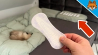 Put Panty Liners in your Bed and WATCH WHAT HAPPENS(Amazing)
