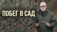 Серія 627