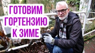Серія 624