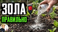 ИСПОЛЬЗУЙ ЗОЛУ ПРАВИЛЬНО! Кислотность почвы определяет урожай