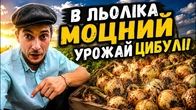 В ЛЬОЛІКА МОЦНИЙ УРОЖАЙ ЦИБУЛІ/СМІШНІ ПОГОВОРКИ ВІД ЛЬОЛІКА/ДЄД ВІДСИДІВ ЗА КУКУРУДЗУ