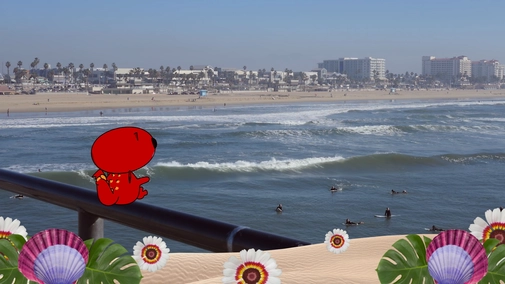 Kiku at the Beach