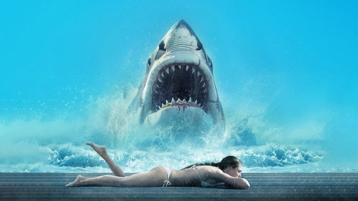 Shark Warning