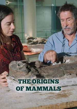 The Origins of Mammals