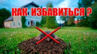 Серія 103