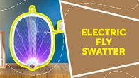 Electric fly swatter