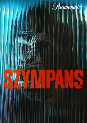 Szympans