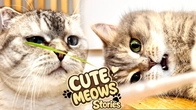 CUTE CATS STORIES: Monday with Lazy MEOWS and Tiny PAWS | Fluffy pants VLOG #16