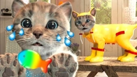 Little Kitten Preschool adventure with Cute Cat ANIMATED STORY | Best Learning for babies #1399