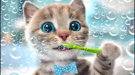 CUTE LITTLE KITTEN ADVENTURE OF A LITTLE CAT Fun Pet Care & Best Learning cartoons for babies
