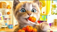 Cute Cat’sPumpkin Adventure to Kitten’s Birthday! Funny Animals stories with Crumbs