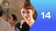 Серия 14