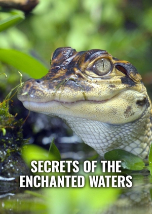 Secrets of the Enchanted Waters