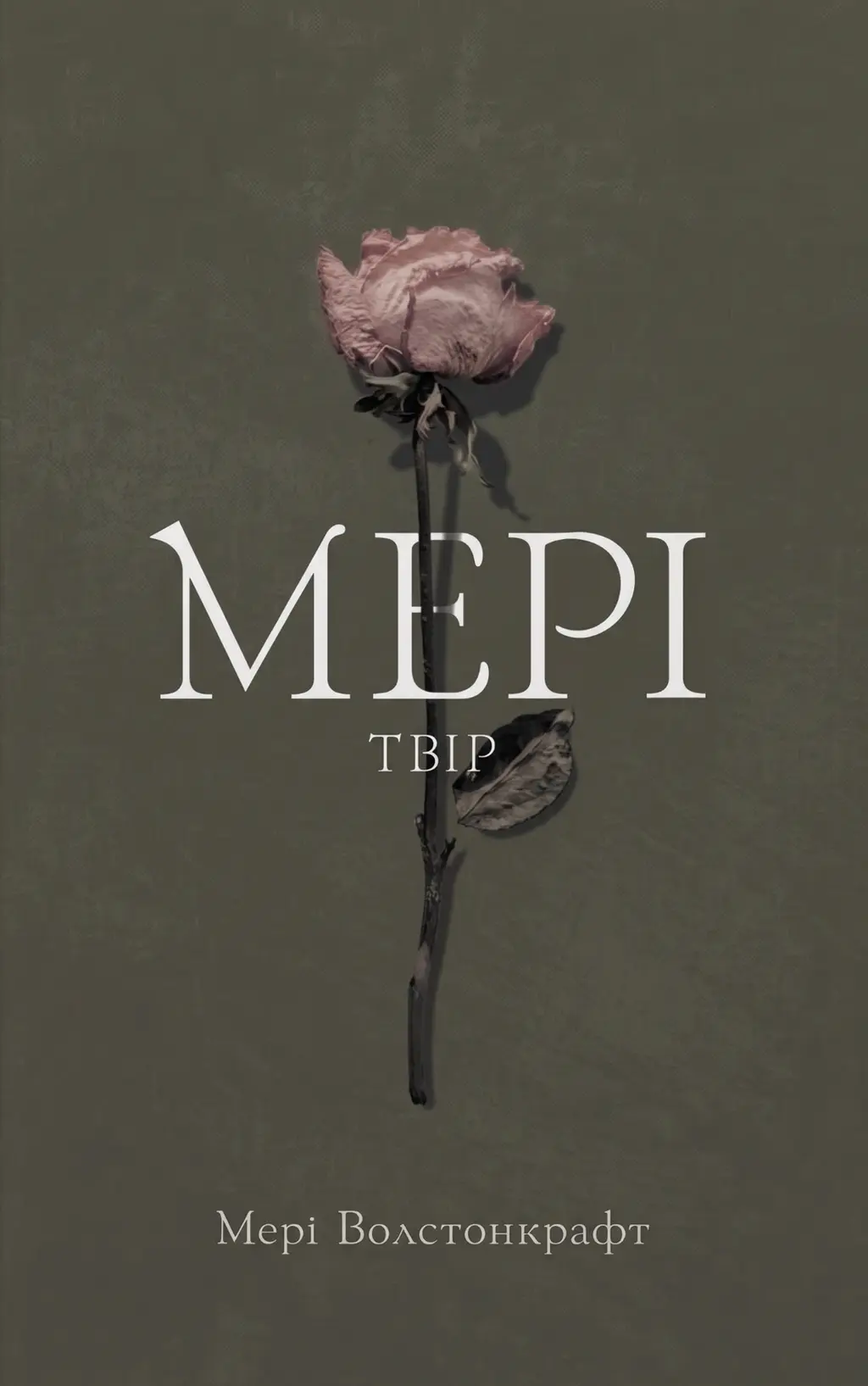 Обкладинка "Мері. Твір"