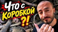 Проблема с коробкой передач и всякие новшества