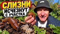 Серія 407