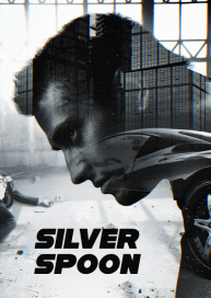 Silver Spoon