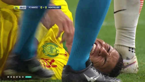 18 тур: Нант - Монпелье 2:0. Обзор матча