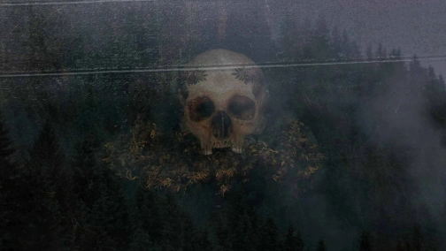 Відьми (жестовою мовою)