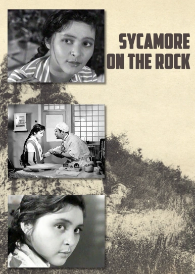 Sycamore on the Rock