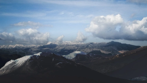 Black Hornets vs Flytomoon (карта 2), Dota PIT Minor 2019, Закрытые квалификации СНГ