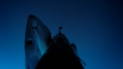 Охота на камеру: ответный удар