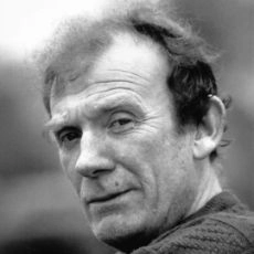 Noel O'Donovan