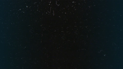 Трансляция: Rebirth vs Triumph