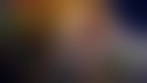 Рейс перший, рейс останній