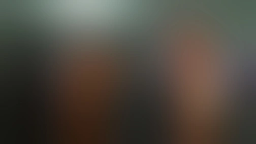 Тимошкина елка