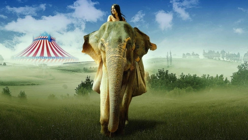 Побег с Фионой UHD HDR