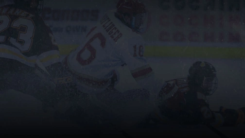 Беларусь — Словакия