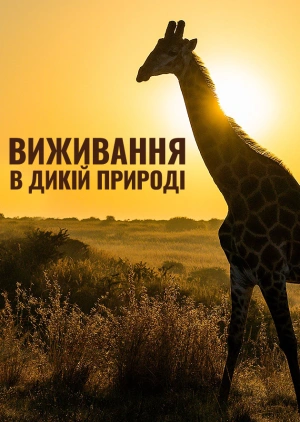 Виживання в дикій природі