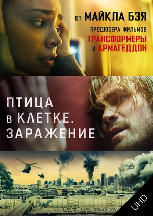 Птица в клетке. Заражение UHD