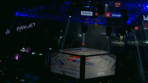 WWFC 17. Lviv Fight Night