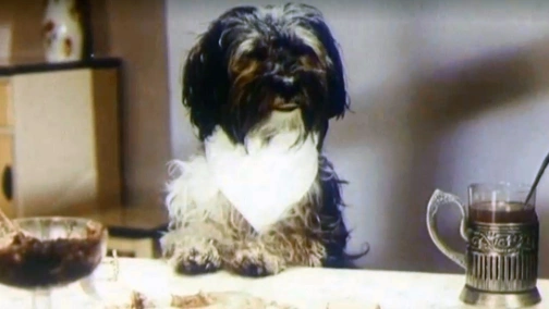 Barbos visiting Bobik