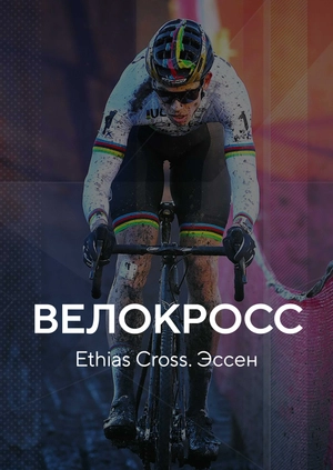 Велокросс. Ethias Cross. Эссен