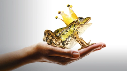 (Не)жданный принц