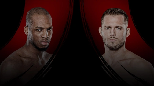 Майкл Пейдж — Логан Сторлі