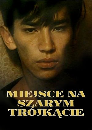 Miejsce na szarym trójkącie — plakat
