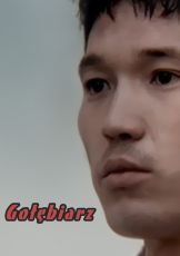 Gołębiarz — plakat