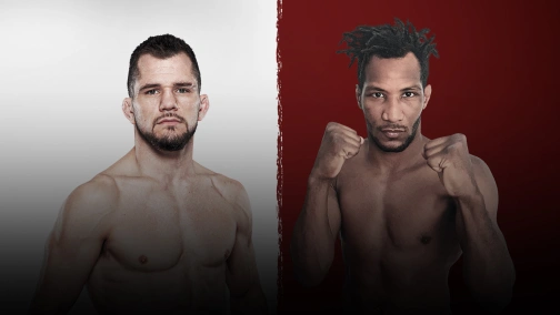 Адам Пикколотти  — Мансур Барнауи