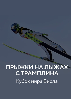 Прыжки на лыжах с трамплина. Кубок мира Висла