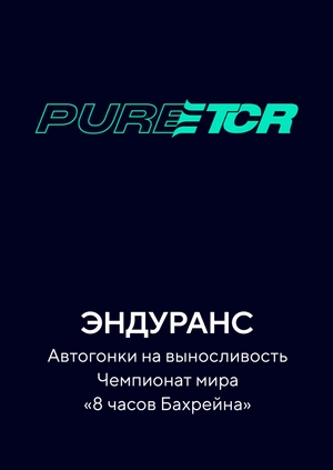 Автогонки на выносливость. Чемпионат мира. «8 часов Бахрейна»