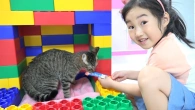 Boram Color Brick Block Cat House