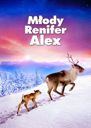 Młody Renifer Alex — plakat