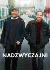 Nadzwyczajni — plakat