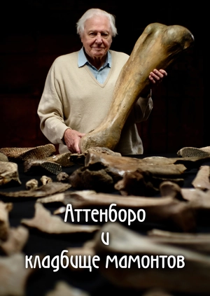 Аттенборо и кладбище мамонтов