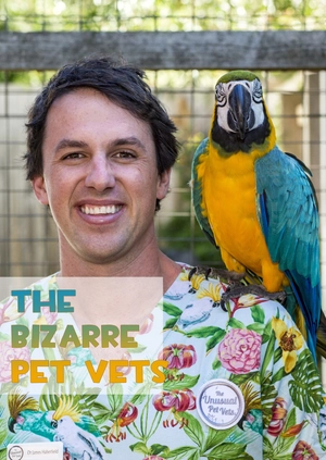 The Bizarre Pet Vets